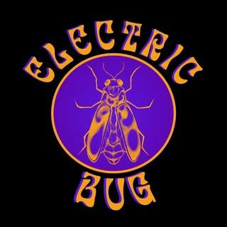 Electric Bug Detroit - Houston event host