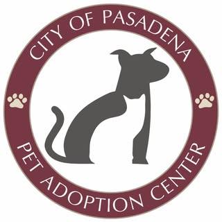 Pets Pasadena TX - Houston event host
